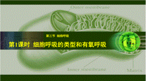 4.3.1 细胞呼吸的类型和有氧呼吸 ppt课件-2023新北师大版（2019）《高中生物》必修第一册.pptx