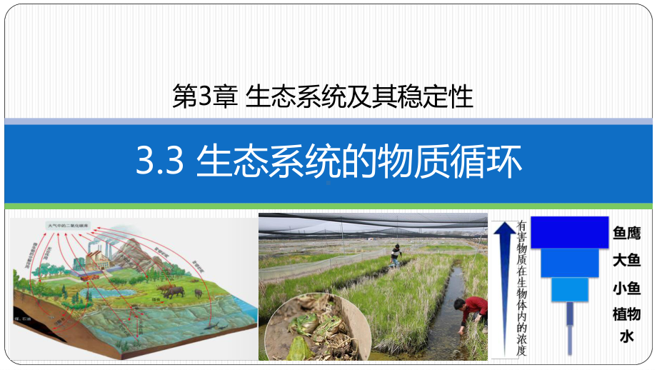 3.3生态系统的物质循环 ppt课件(1)-2023新人教版（2019）《高中生物》选择性必修第二册.pptx_第1页