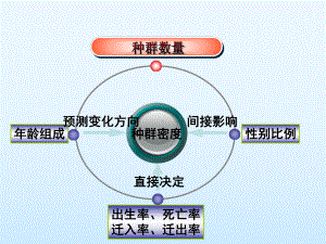 一轮复习：4.2种群数量的变化 ppt课件-2023新人教版（2019）《高中生物》选择性必修第二册.pptx