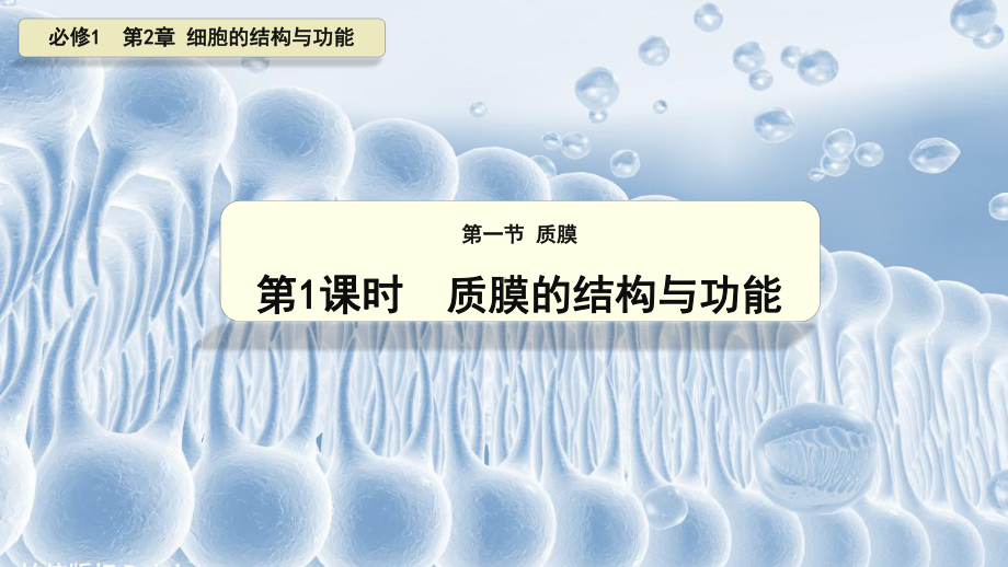 2.1.1 质膜的结构与功能 ppt课件(1)-2023新北师大版（2019）《高中生物》必修第一册.pptx_第1页