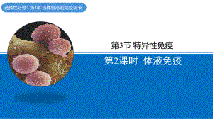 4.3.2 体液免疫 ppt课件-2023新北师大版（2019）《高中生物》必修第一册.pptx