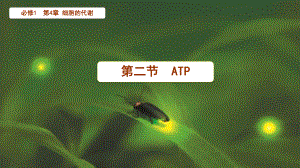 4.2 ATP ppt课件-2023新北师大版（2019）《高中生物》必修第一册.pptx