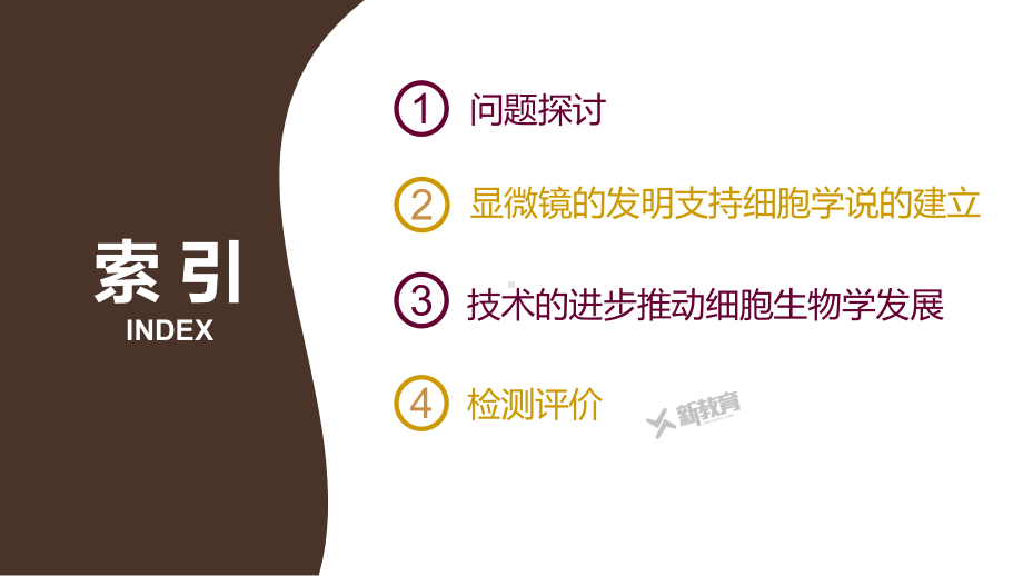 1.1 发现细胞 ppt课件-2023新北师大版（2019）《高中生物》必修第一册.pptx_第2页