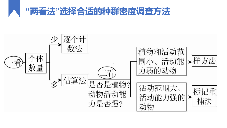 必备知识总结 ppt课件-2023新人教版（2019）《高中生物》选择性必修第二册.pptx_第3页