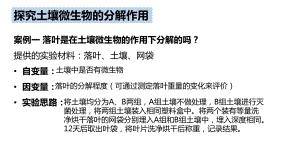 一轮复习： 探究土壤微生物的分解作用及设计制作生态缸 ppt课件-2023新人教版（2019）《高中生物》选择性必修第二册.pptx