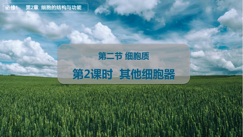 2.2.2 其他细胞器 ppt课件-2023新北师大版（2019）《高中生物》必修第一册.pptx_第1页