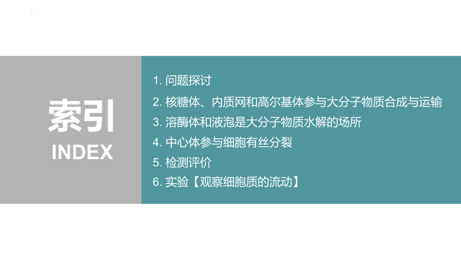 2.2.2 其他细胞器 ppt课件-2023新北师大版（2019）《高中生物》必修第一册.pptx_第2页