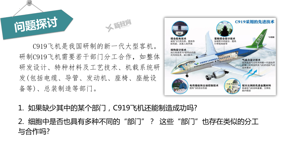 2.2.2 其他细胞器 ppt课件-2023新北师大版（2019）《高中生物》必修第一册.pptx_第3页