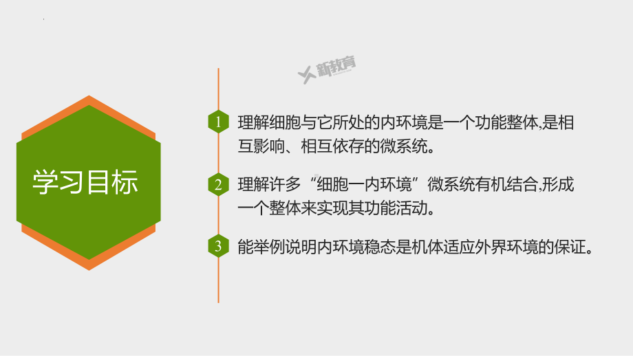 1.3 内环境稳态的整体观 ppt课件-2023新北师大版（2019）《高中生物》必修第一册.pptx_第2页