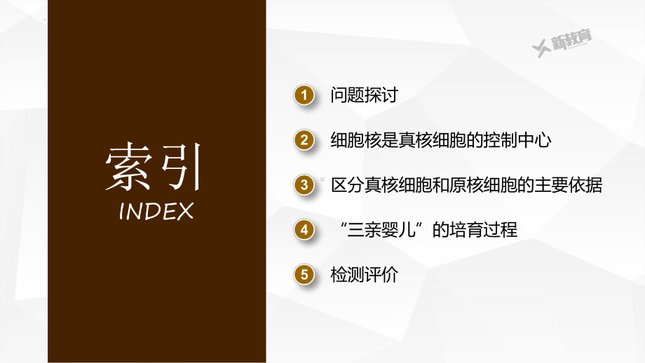 2.3 细胞核 ppt课件-2023新北师大版（2019）《高中生物》必修第一册.pptx_第2页