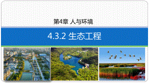 4.3.2生态工程的实例和发展前景 ppt课件-2023新人教版（2019）《高中生物》选择性必修第二册.pptx