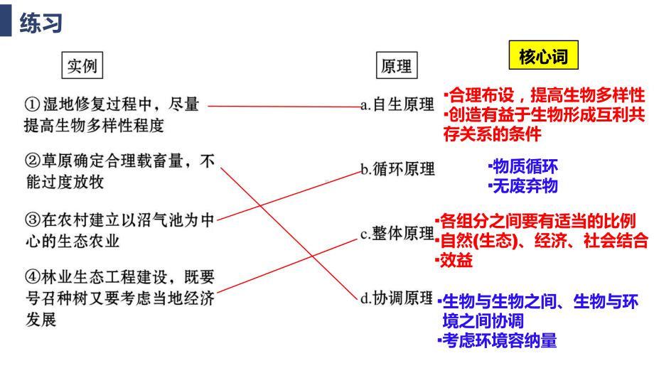 4.3.2生态工程的实例和发展前景 ppt课件-2023新人教版（2019）《高中生物》选择性必修第二册.pptx_第3页