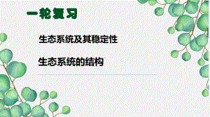 一轮复习：生态系统的结构 ppt课件-2023新人教版（2019）《高中生物》选择性必修第二册.pptx