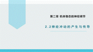 2.2 神经冲动的产生与传导 ppt课件-2023新北师大版（2019）《高中生物》必修第一册.pptx