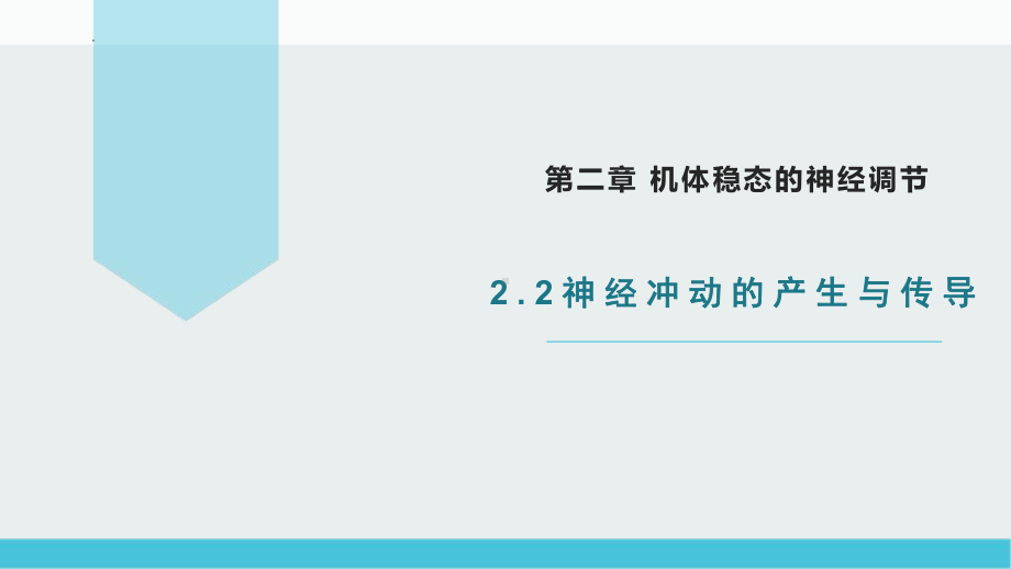 2.2 神经冲动的产生与传导 ppt课件-2023新北师大版（2019）《高中生物》必修第一册.pptx_第1页