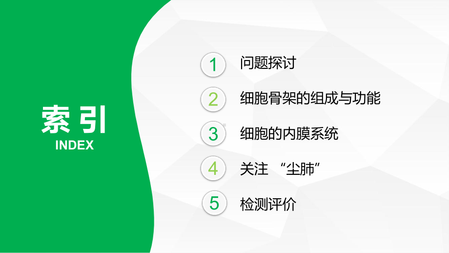 2.4 细胞骨架与内膜系统 ppt课件-2023新北师大版（2019）《高中生物》必修第一册.pptx_第2页