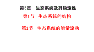 一轮复习 ppt课件：生态系统的结构+能量流动 -2023新人教版（2019）《高中生物》选择性必修第二册.pptx