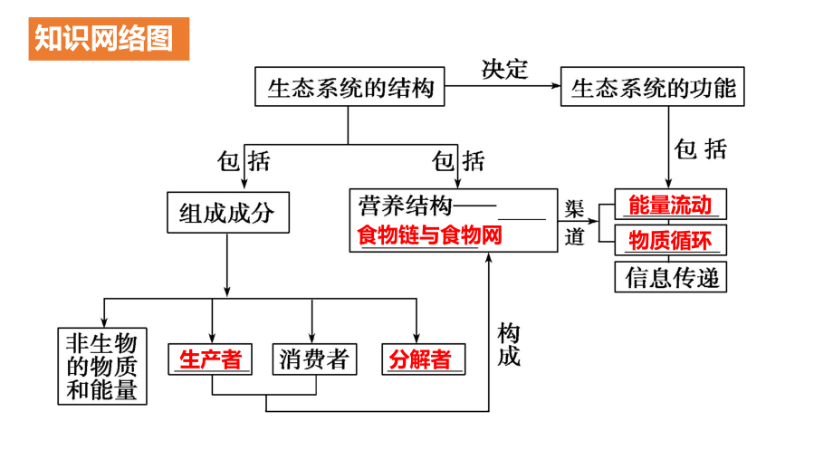 一轮复习 ppt课件：第3讲 生态系统的结构及其稳定性-2023新人教版（2019）《高中生物》选择性必修第二册.pptx_第3页