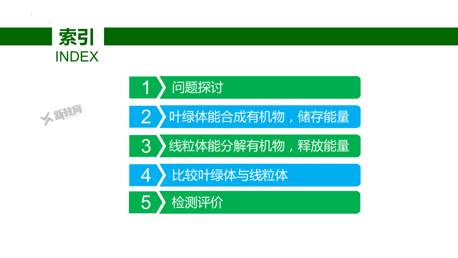 2.2.1 叶绿体与线粒体 ppt课件-2023新北师大版（2019）《高中生物》必修第一册.pptx_第2页