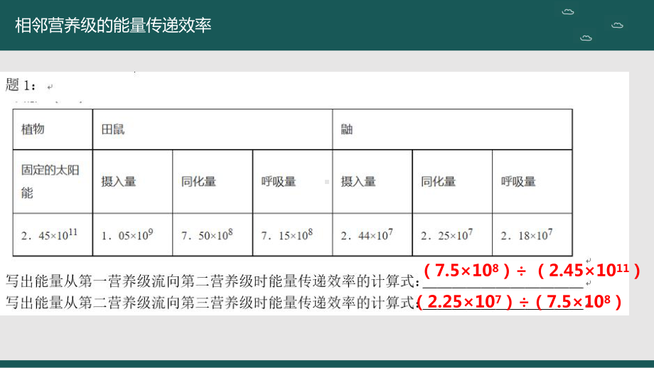 一轮复习 ppt课件：生态系统能量的流动计算-2023新人教版（2019）《高中生物》选择性必修第二册.pptx_第3页