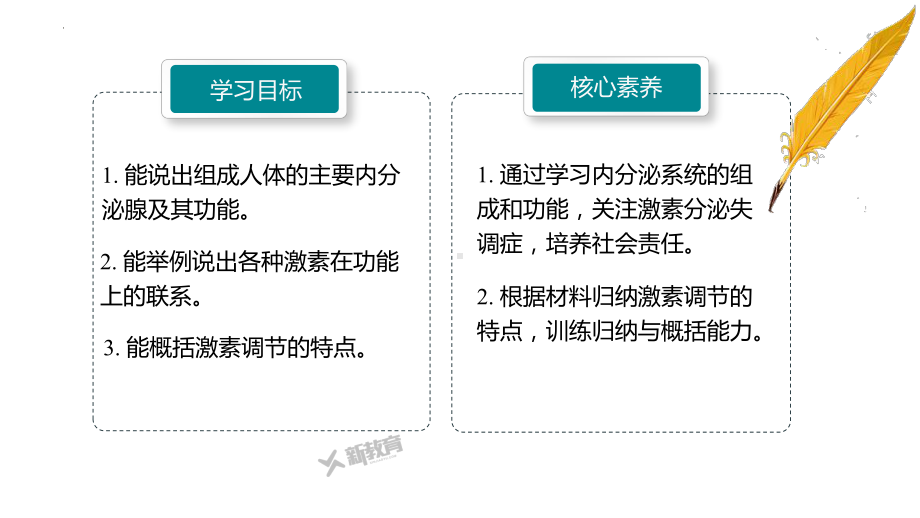 3.2 内分泌系统与激素 ppt课件-2023新北师大版（2019）《高中生物》必修第一册.pptx_第2页