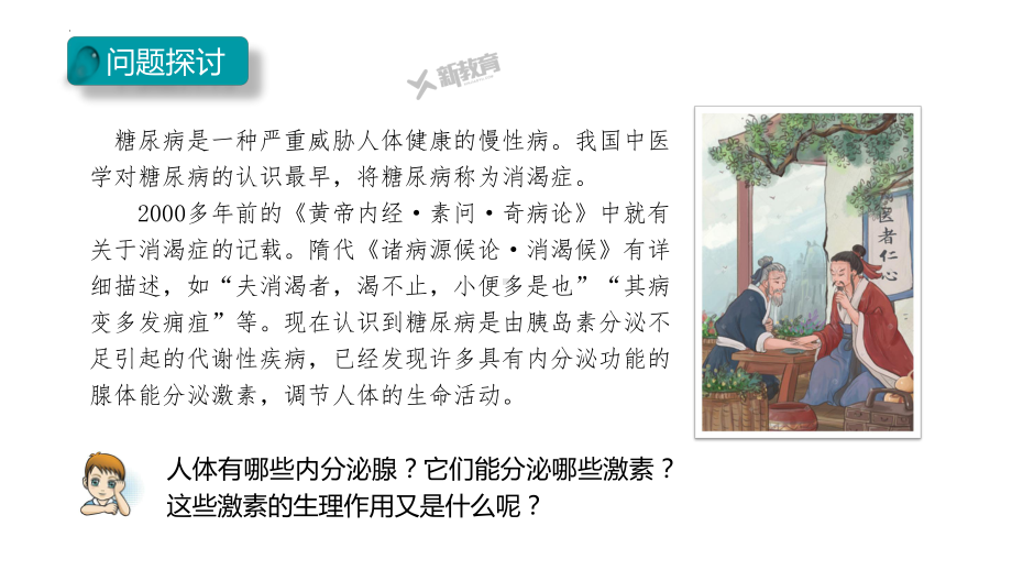 3.2 内分泌系统与激素 ppt课件-2023新北师大版（2019）《高中生物》必修第一册.pptx_第3页