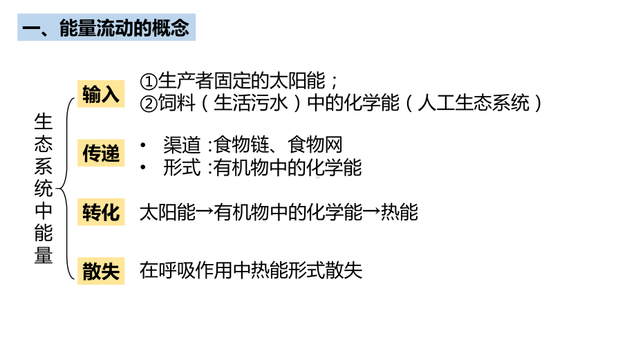 一轮复习 ppt课件：生态系统的能量流动 -2023新人教版（2019）《高中生物》选择性必修第二册.pptx_第2页