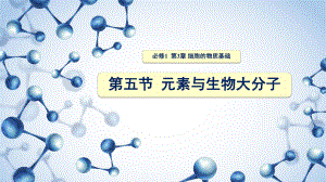 3.5元素与生物大分子 ppt课件-2023新北师大版（2019）《高中生物》必修第一册.pptx