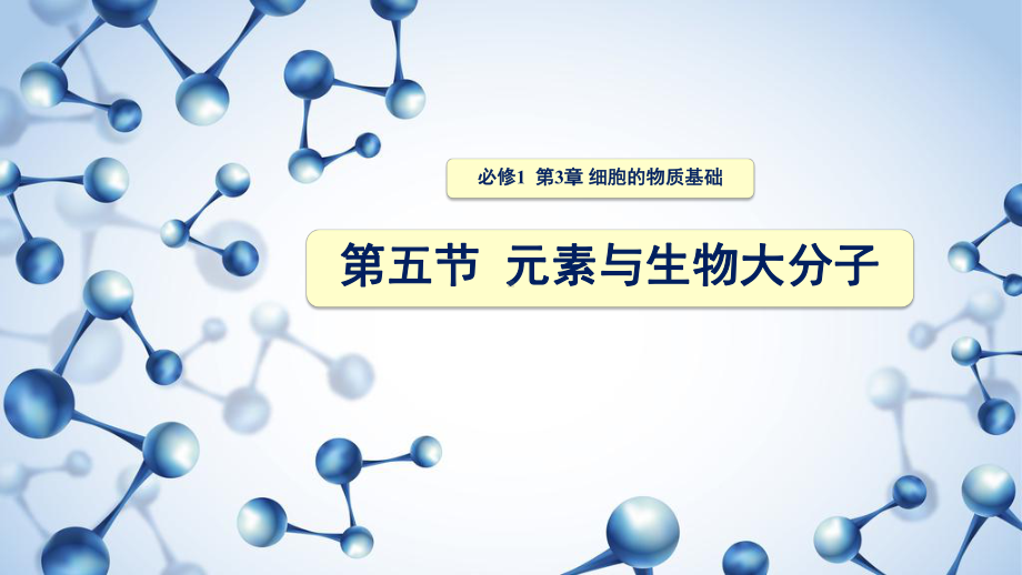 3.5元素与生物大分子 ppt课件-2023新北师大版（2019）《高中生物》必修第一册.pptx_第1页