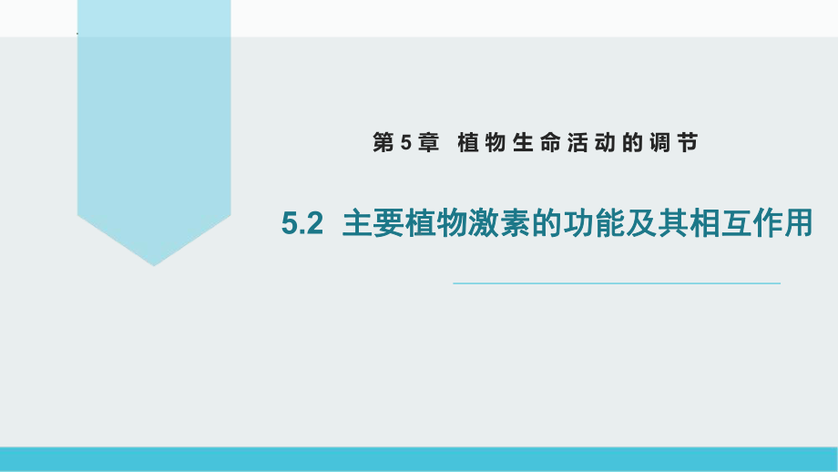 5.2 主要植物激素的功能及其相互作用ppt课件 -2023新北师大版（2019）《高中生物》必修第一册.pptx_第1页