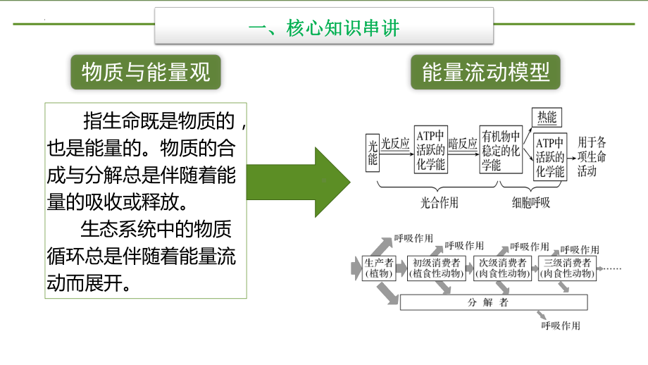 一轮复习 ppt课件：生态专题“物质与能量观-2023新人教版（2019）《高中生物》选择性必修第二册.pptx_第3页