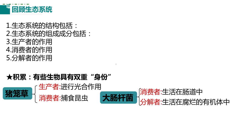 一轮复习 ppt课件：第29讲生态系统能量流动-2023新人教版（2019）《高中生物》选择性必修第二册.pptx_第2页