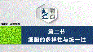 1.2 细胞的多样性与统一性 ppt课件-2023新北师大版（2019）《高中生物》必修第一册.pptx