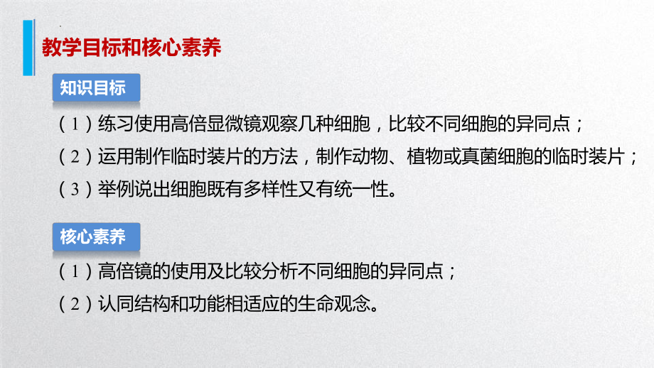 1.2 细胞的多样性与统一性 ppt课件-2023新北师大版（2019）《高中生物》必修第一册.pptx_第2页