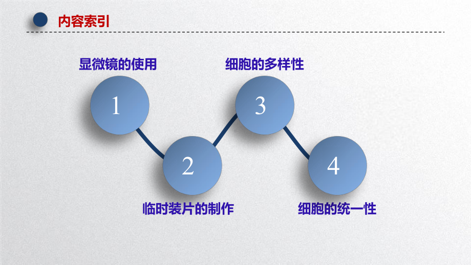 1.2 细胞的多样性与统一性 ppt课件-2023新北师大版（2019）《高中生物》必修第一册.pptx_第3页