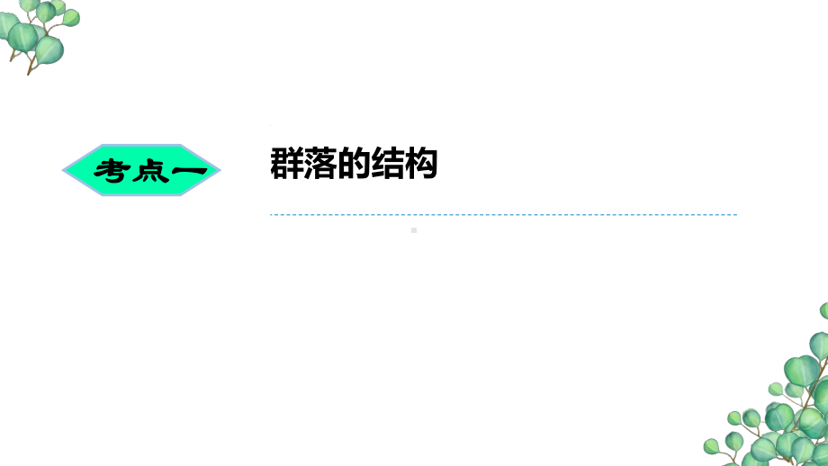 一轮复习 ppt课件群落及其演替-2023新人教版（2019）《高中生物》选择性必修第二册.pptx_第2页