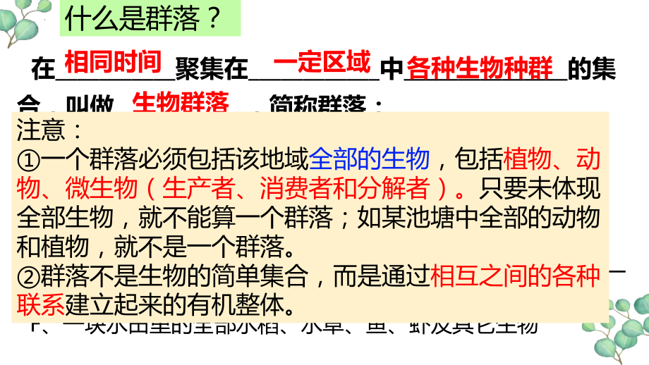 一轮复习 ppt课件群落及其演替-2023新人教版（2019）《高中生物》选择性必修第二册.pptx_第3页