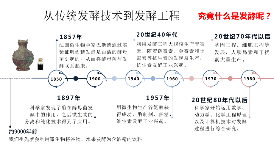 1.1 传统发酵技术的应用ppt课件 -2023新人教版（2019）《高中生物》选择性必修第三册.pptx_第3页