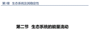 一轮复习：2.5生态系统的能量流动 ppt课件-2023新人教版（2019）《高中生物》选择性必修第二册.pptx