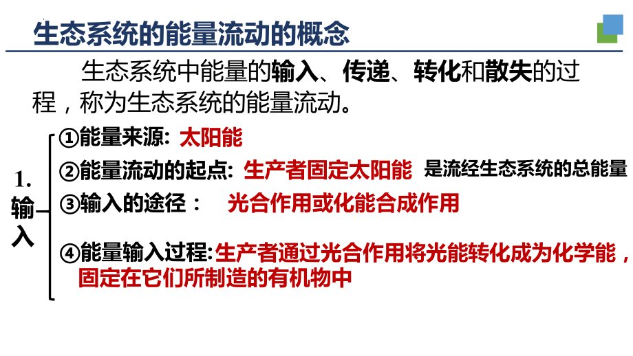 一轮复习：2.5生态系统的能量流动 ppt课件-2023新人教版（2019）《高中生物》选择性必修第二册.pptx_第3页