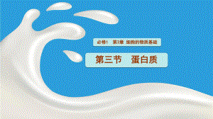 3.3 蛋白质 ppt课件-2023新北师大版（2019）《高中生物》必修第一册.pptx