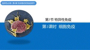 4.3.1 细胞免疫 ppt课件-2023新北师大版（2019）《高中生物》必修第一册.pptx