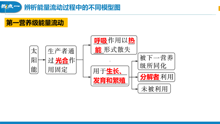 二轮复习：生态系统的能量流动热点题型 ppt课件-2023新人教版（2019）《高中生物》选择性必修第二册.pptx_第3页