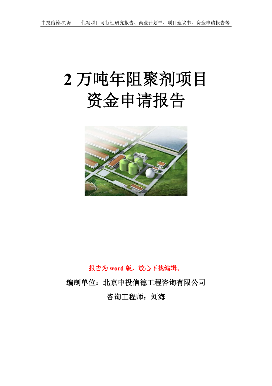 2万吨年阻聚剂项目资金申请报告模板.doc_第1页