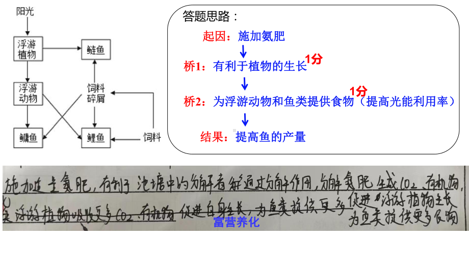 二轮复习 ppt课件：剖析水体富营养化试题解答模板-2023新人教版（2019）《高中生物》选择性必修第二册.pptx_第3页