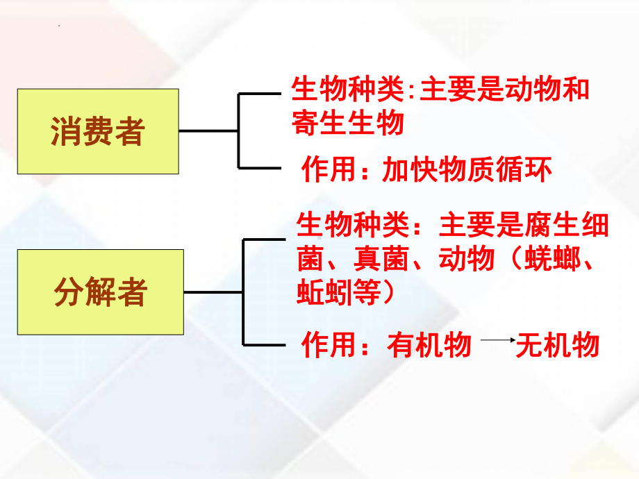 一轮复习：生系统及其稳定性 ppt课件-2023新人教版（2019）《高中生物》选择性必修第二册.pptx_第3页