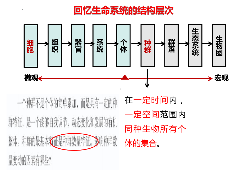 1.1种群的数量特征 ppt课件-2023新人教版（2019）《高中生物》选择性必修第二册.pptx_第1页