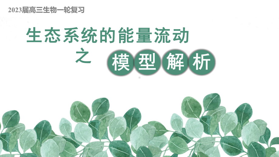 一轮复习 ppt课件：生态系统的能量流动之模型解析-2023新人教版（2019）《高中生物》选择性必修第二册.pptx_第1页