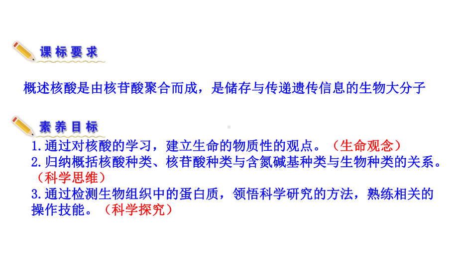 1.3.2 细胞中的蛋白质和核酸-检测生物组织中的蛋白质、核酸储存与传递遗传信息 ppt课件-2023新苏教版（2019）《高中生物》必修第一册.ppt_第3页