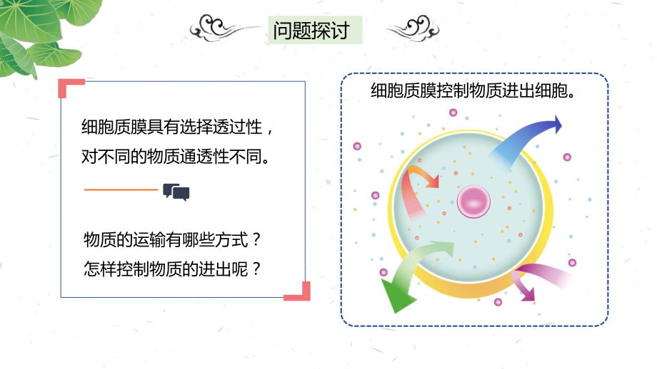 2.3.2 被动运输、主动运输和细胞的胞吞和胞吐 ppt课件-2023新苏教版（2019）《高中生物》必修第一册.pptx_第2页